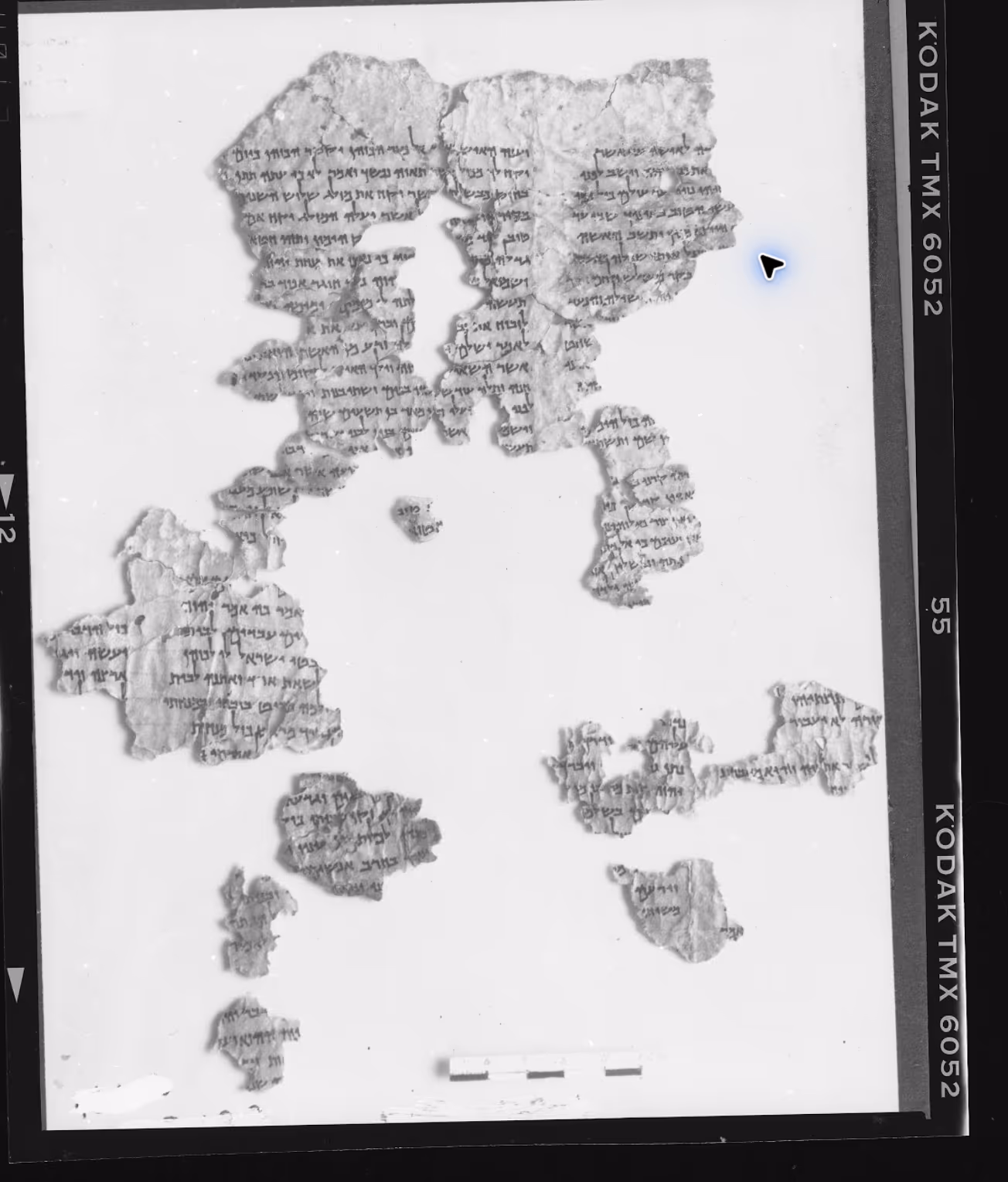 Hebrew manuscript fragments in the supplied Kodak-film photograph