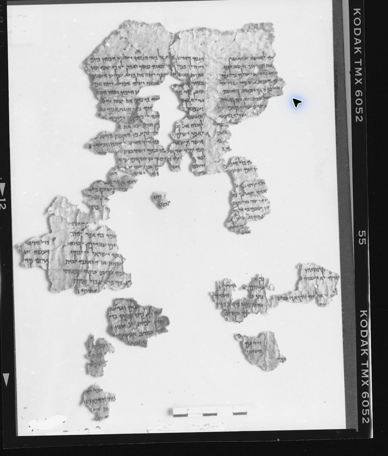 Hebrew manuscript fragments in the supplied Kodak-film photograph